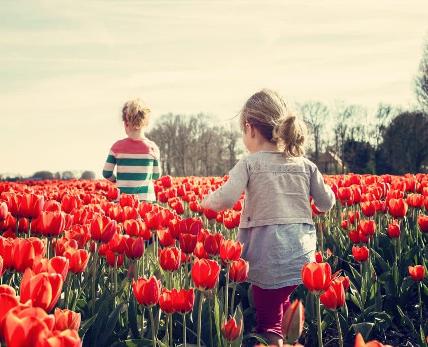 Netherlands: Downstream Market Briefing | SSDC