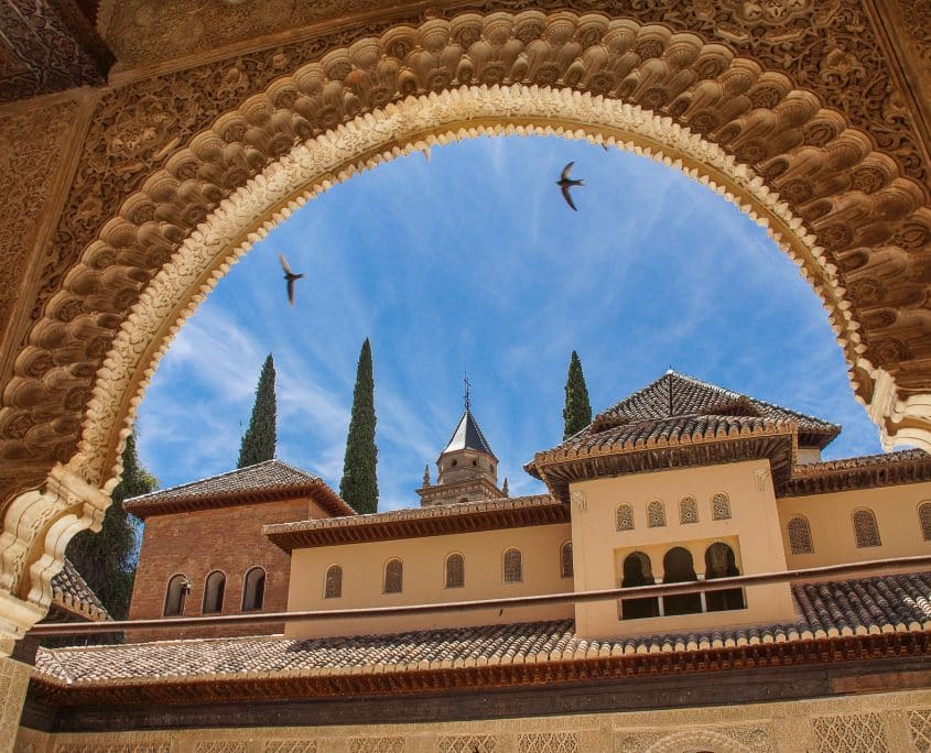 Spain: Downstream Market Briefing | SSDC